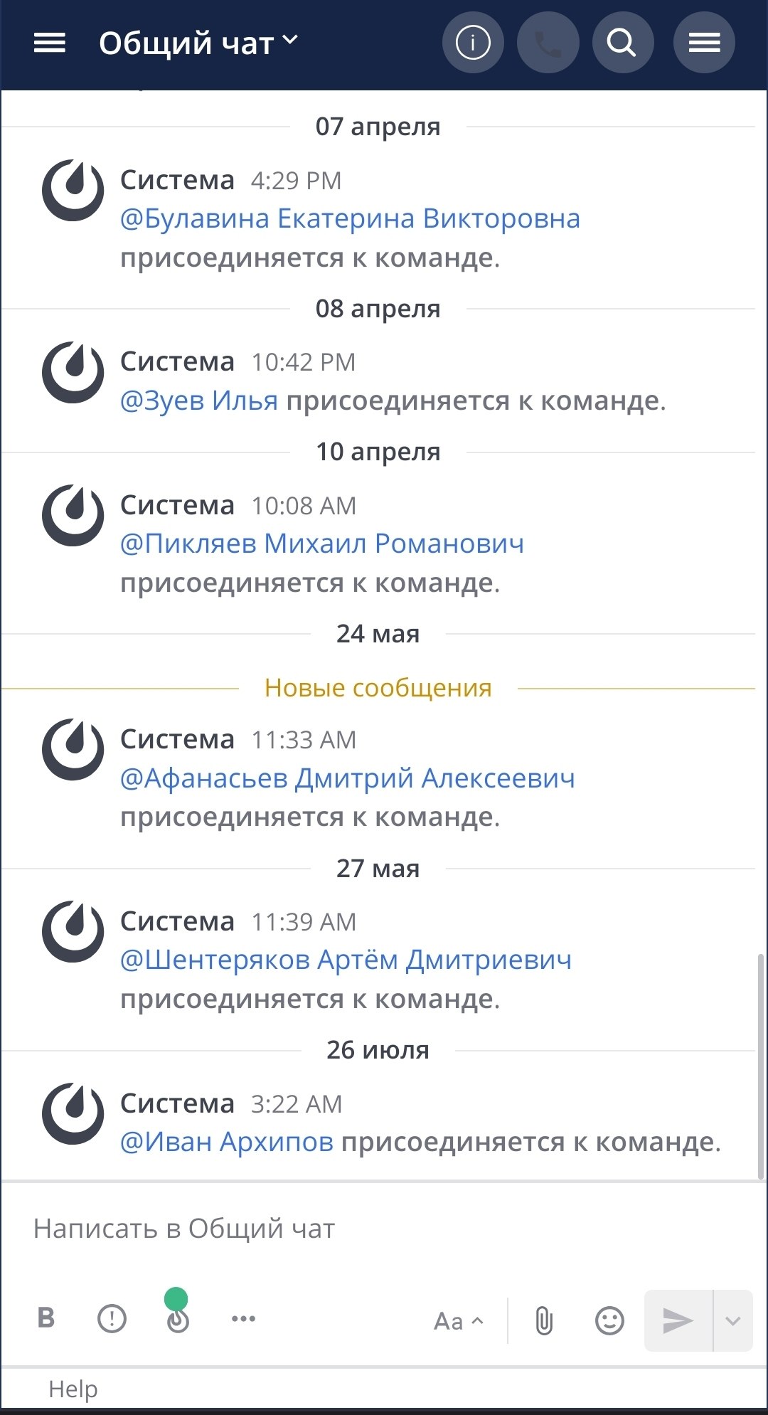 Пример как выглядит чат